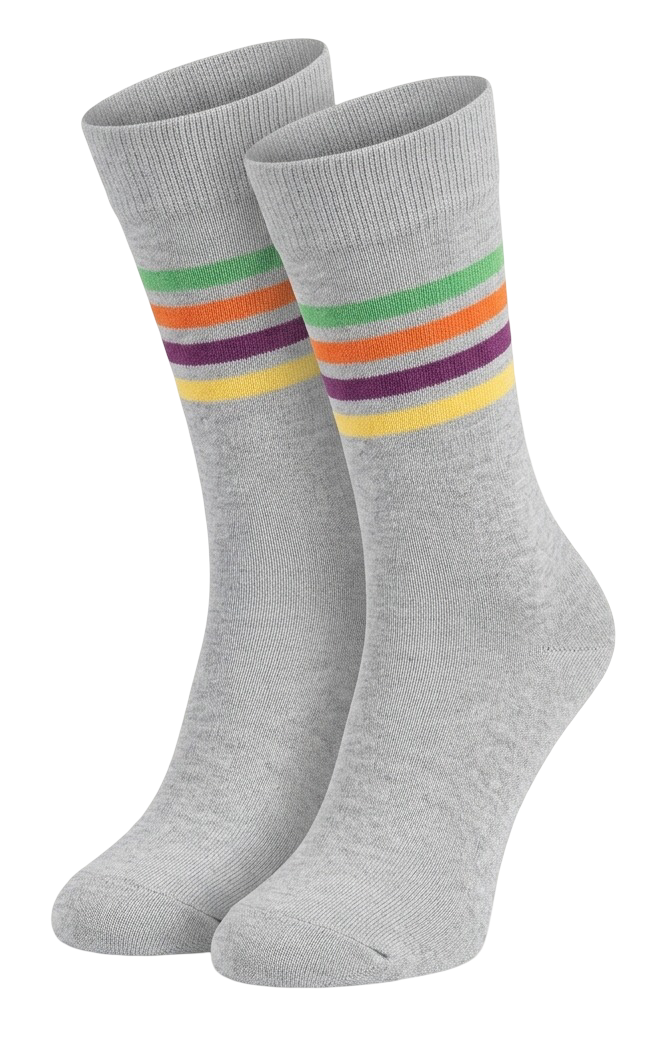 Gray Socks with 4 Stripes